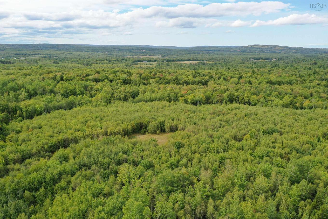 Lot 19 Acres Wallace Road, Hazel Glen, NS