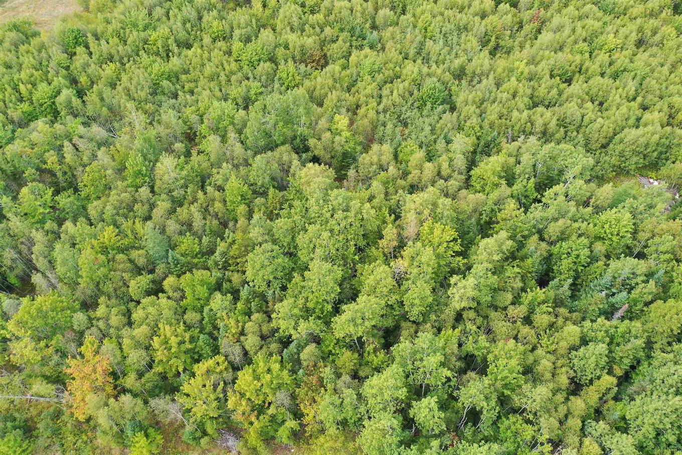 Lot 19 Acres Wallace Road, Hazel Glen, NS