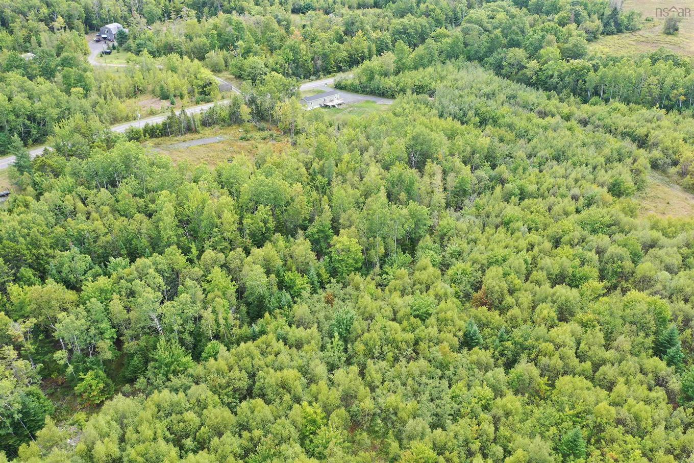Lot 19 Acres Wallace Road, Hazel Glen, NS