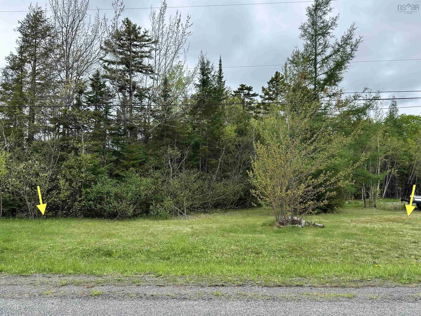 Lot 19 Acres Wallace Road, Hazel Glen, NS