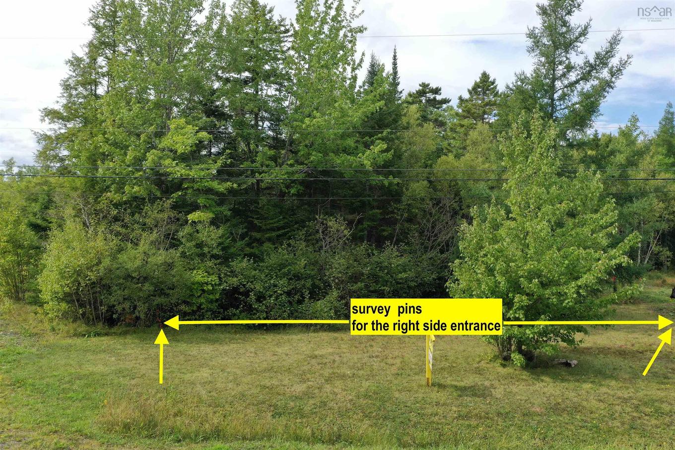 Lot 19 Acres Wallace Road, Hazel Glen, NS