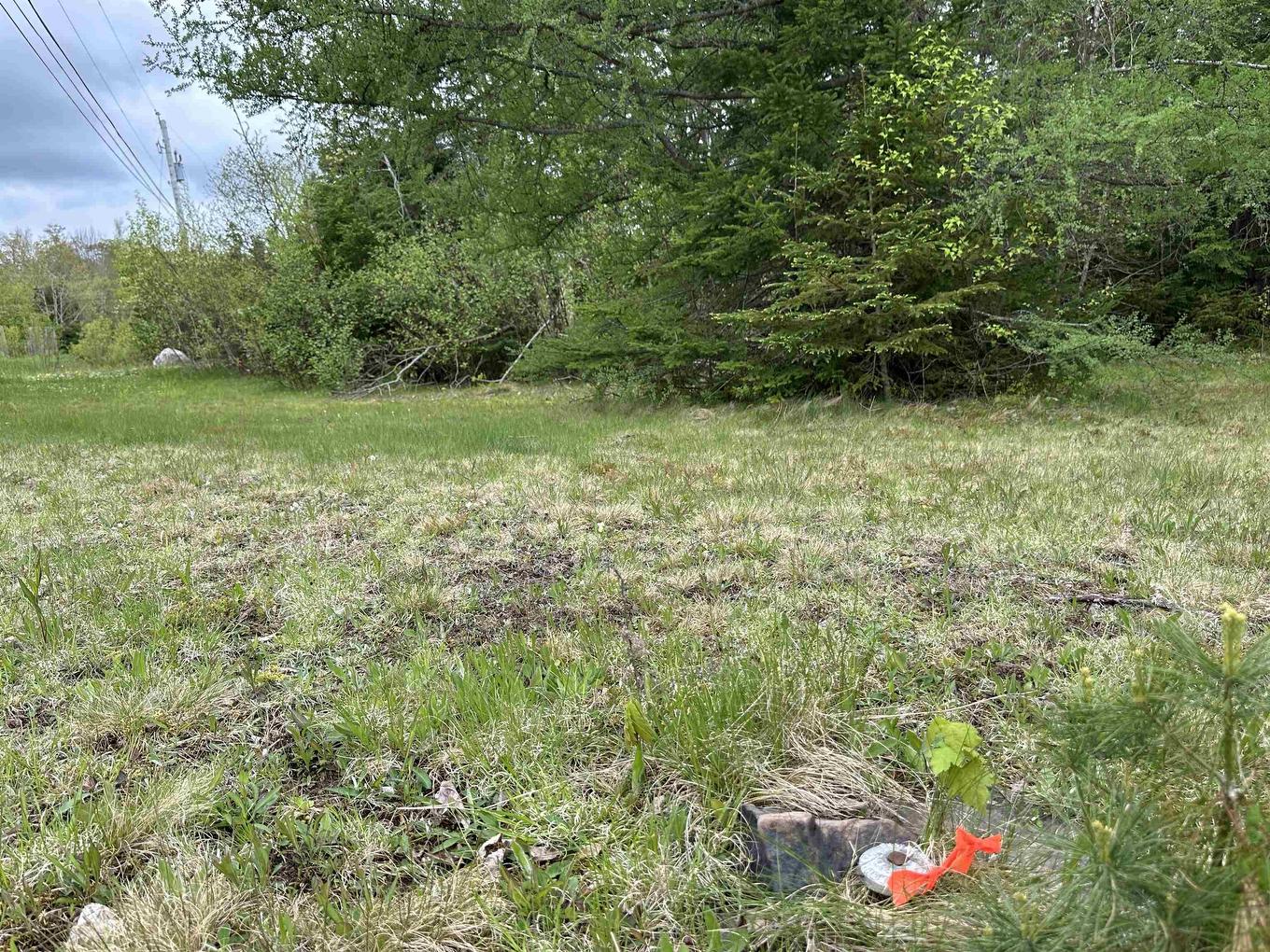 Lot 19 Acres Wallace Road, Hazel Glen, NS