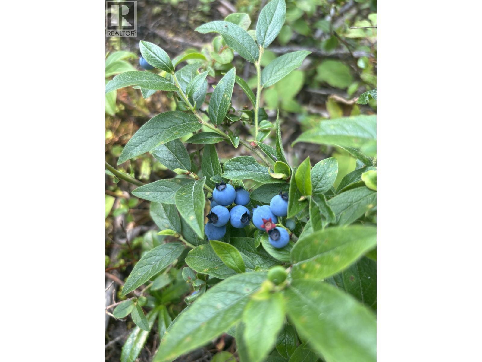 8205 Gladtidings Drive, Prince George, BC