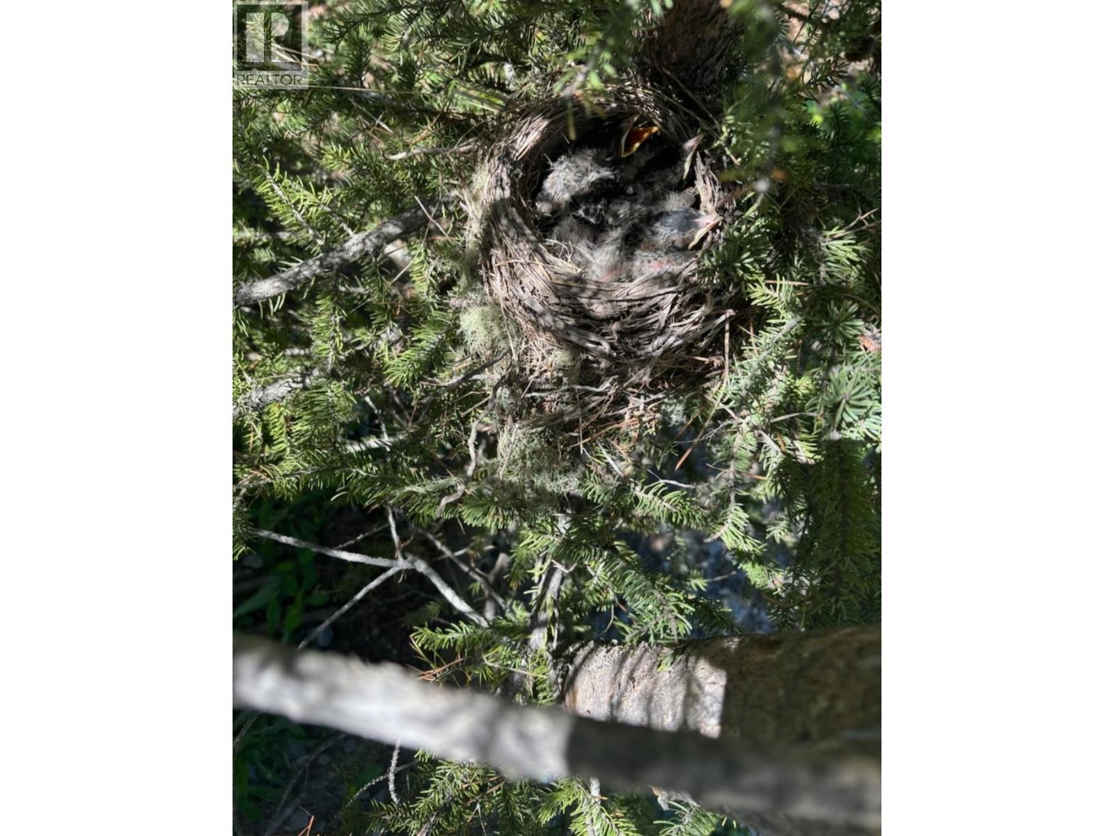 8205 Gladtidings Drive, Prince George, BC