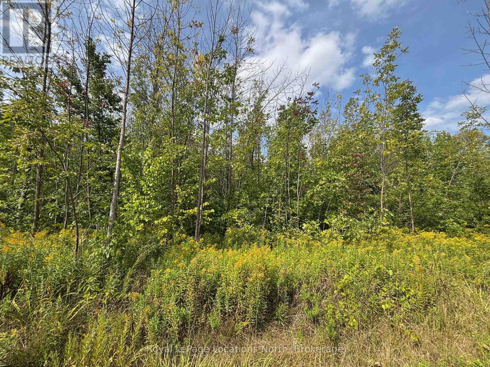 0 Cedar Avenue, Meaford, ON