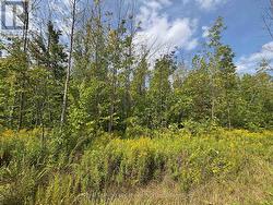 0 CEDAR AVENUE Meaford, ON N4L 1W5