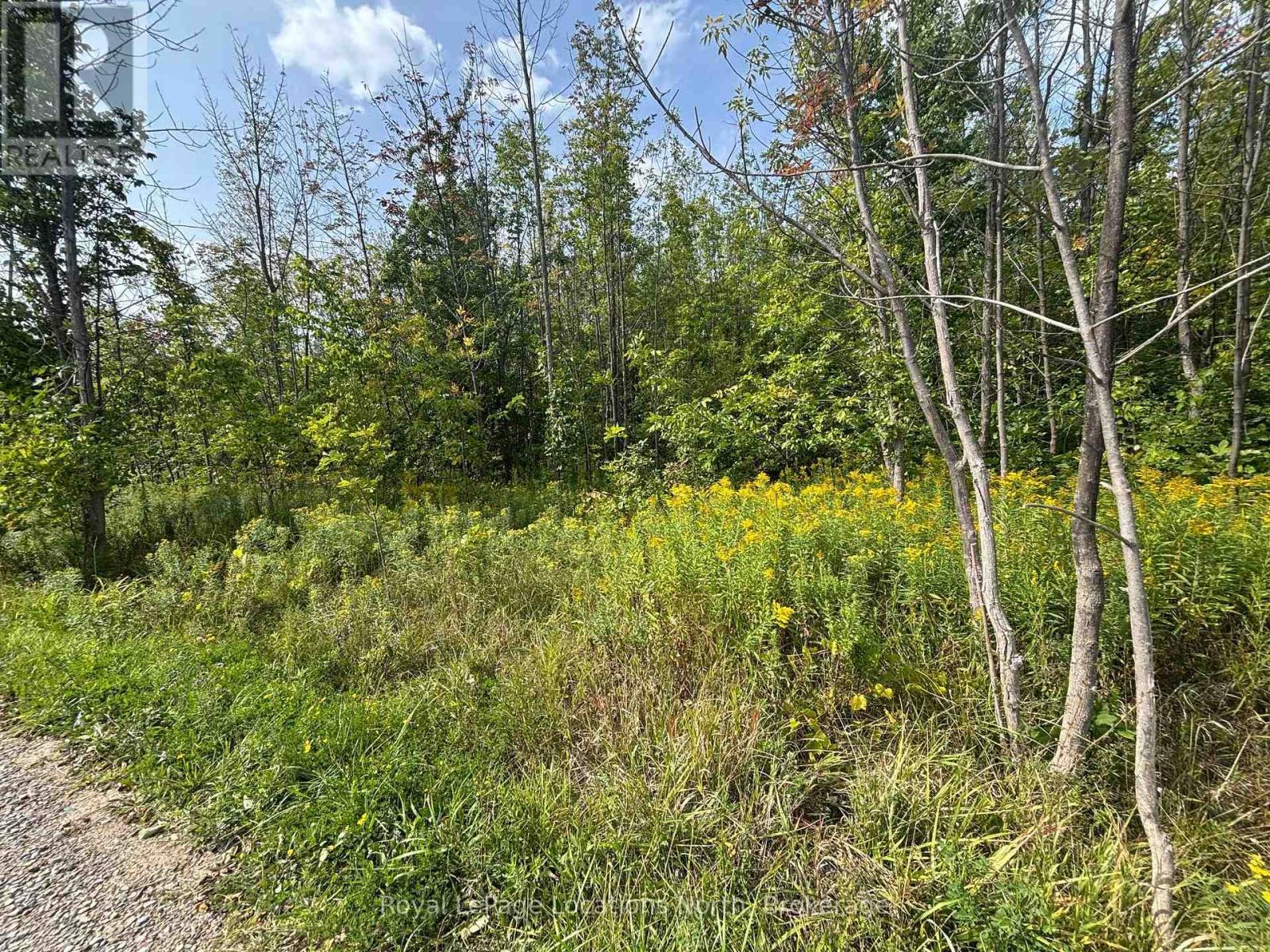 0 Cedar Avenue, Meaford, ON