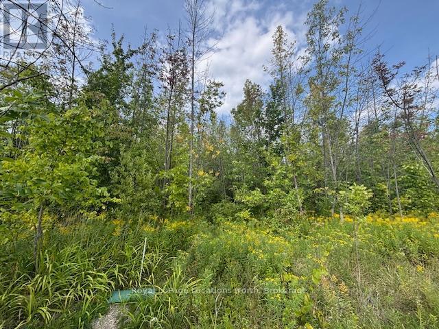 0 Cedar Avenue, Meaford, ON