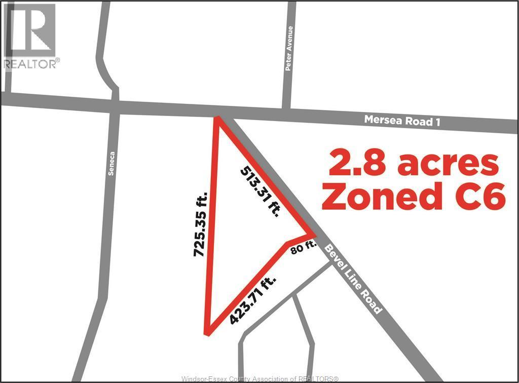 433 Bevel Line Road, Leamington, ON