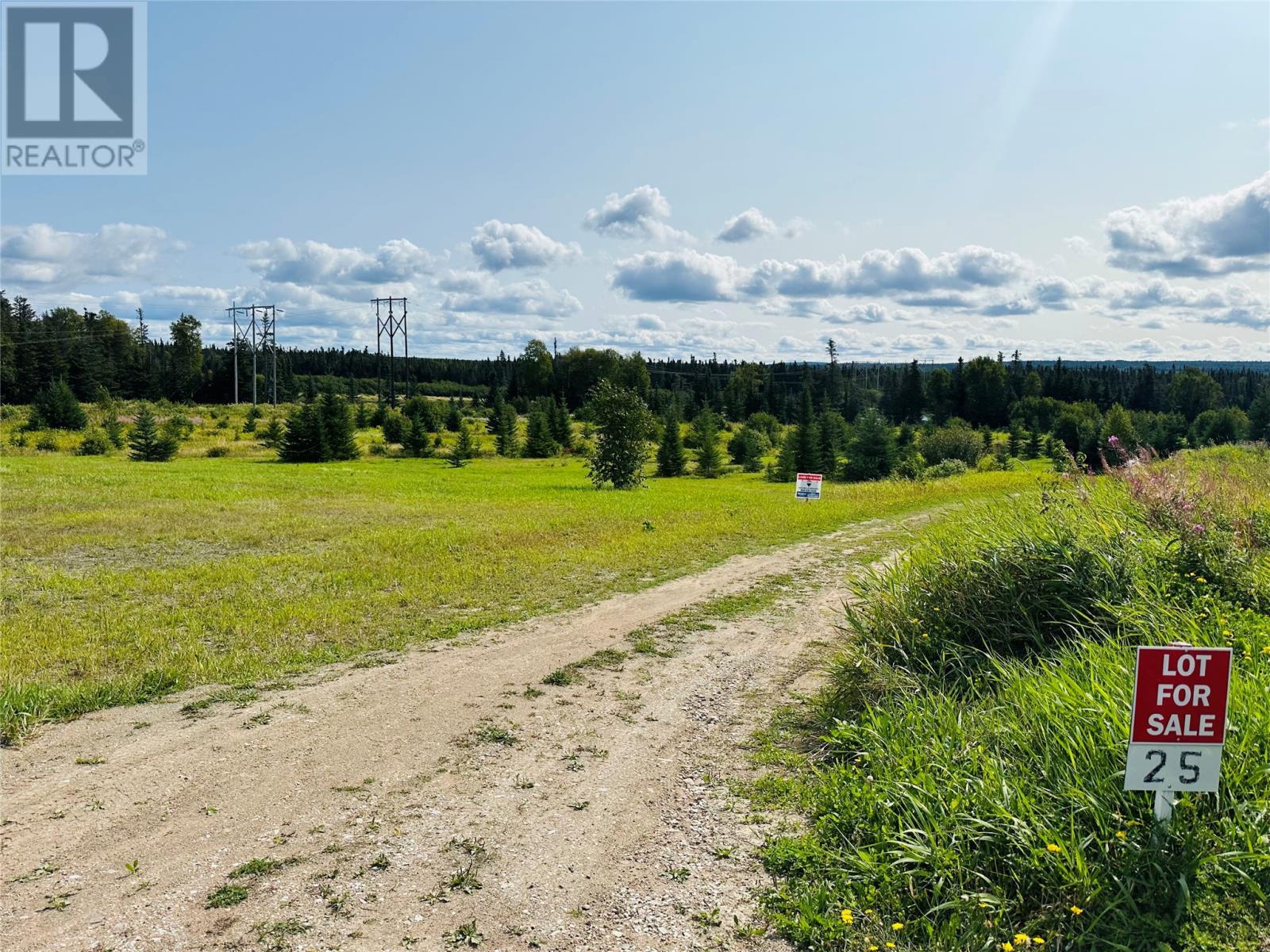 Lot 25 Upper Tranquil Waters Road, Reidville, NL