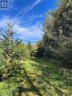 Trails around the perimeter -