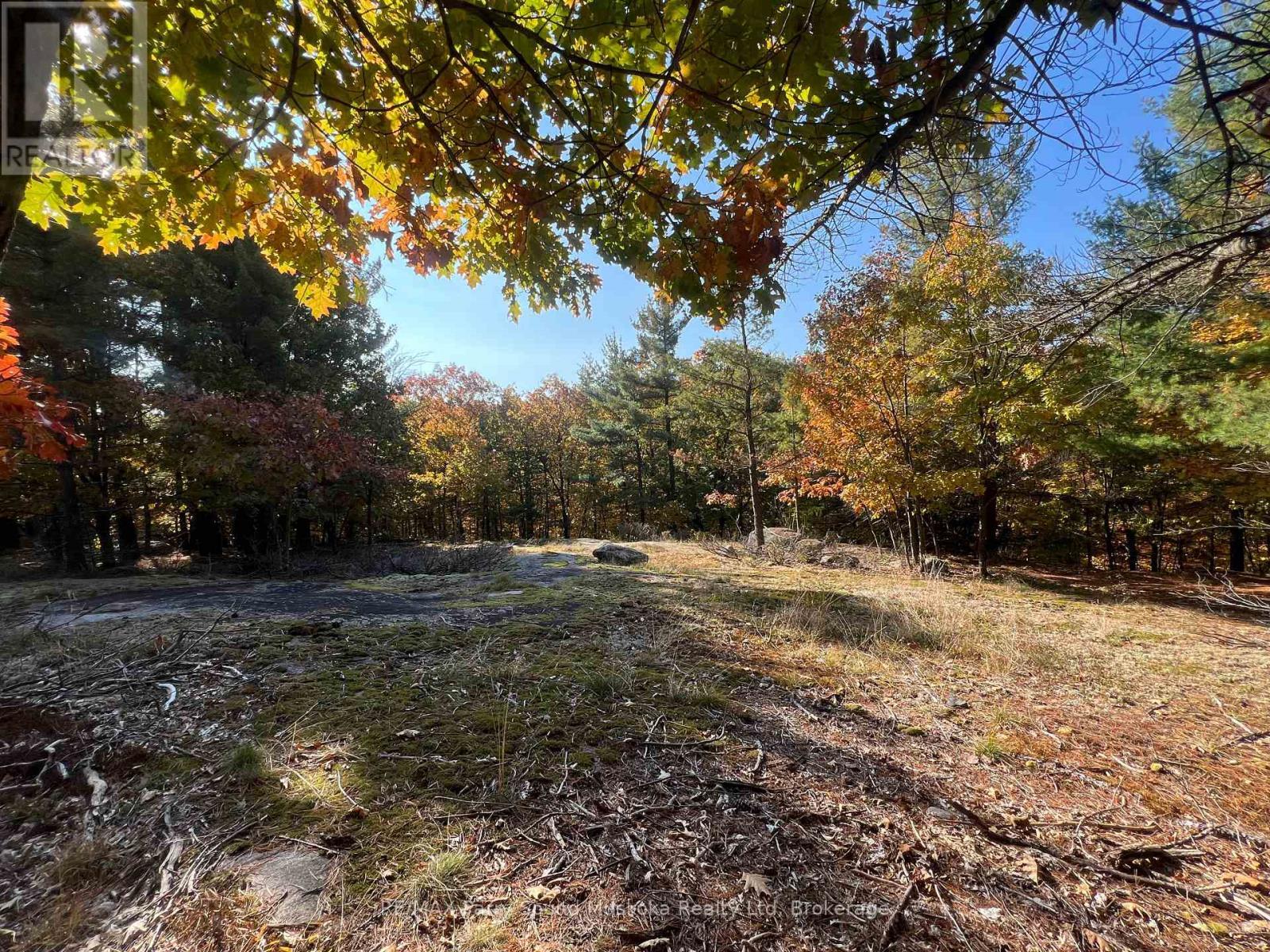 Level areas for building - 13 Ridgeway Drive, Carling, ON