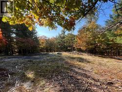 13 RIDGEWAY DRIVE Carling, ON P0G 1G0