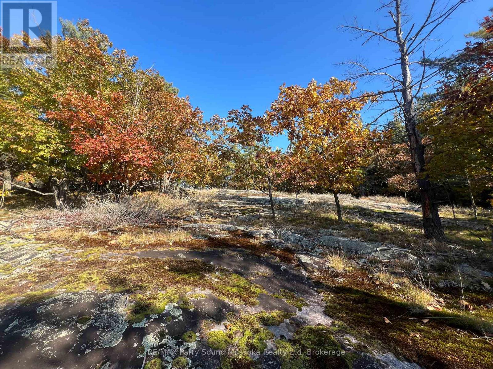 Private setting on the shores of Georgian Bay - 13 Ridgeway Drive, Carling, ON