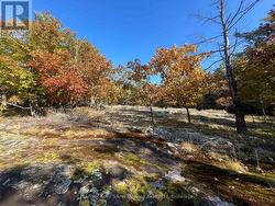 Private setting on the shores of Georgian Bay -