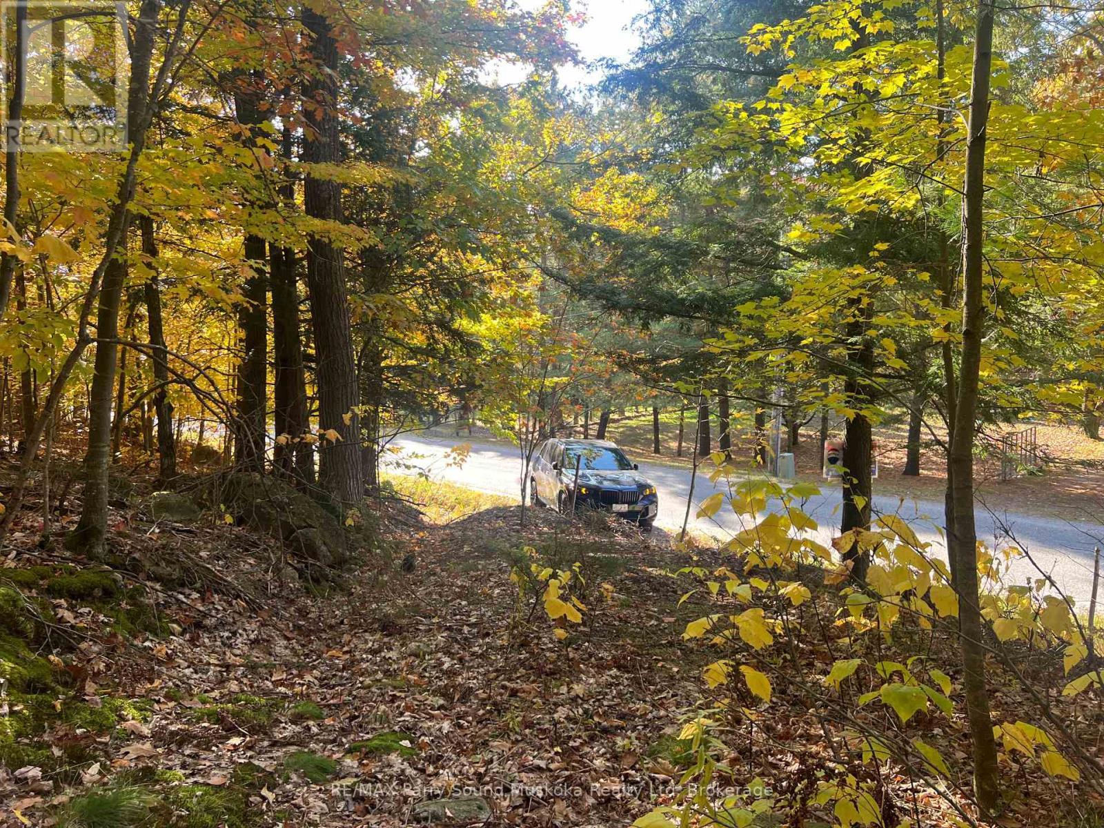 Year round road access - 13 Ridgeway Drive, Carling, ON