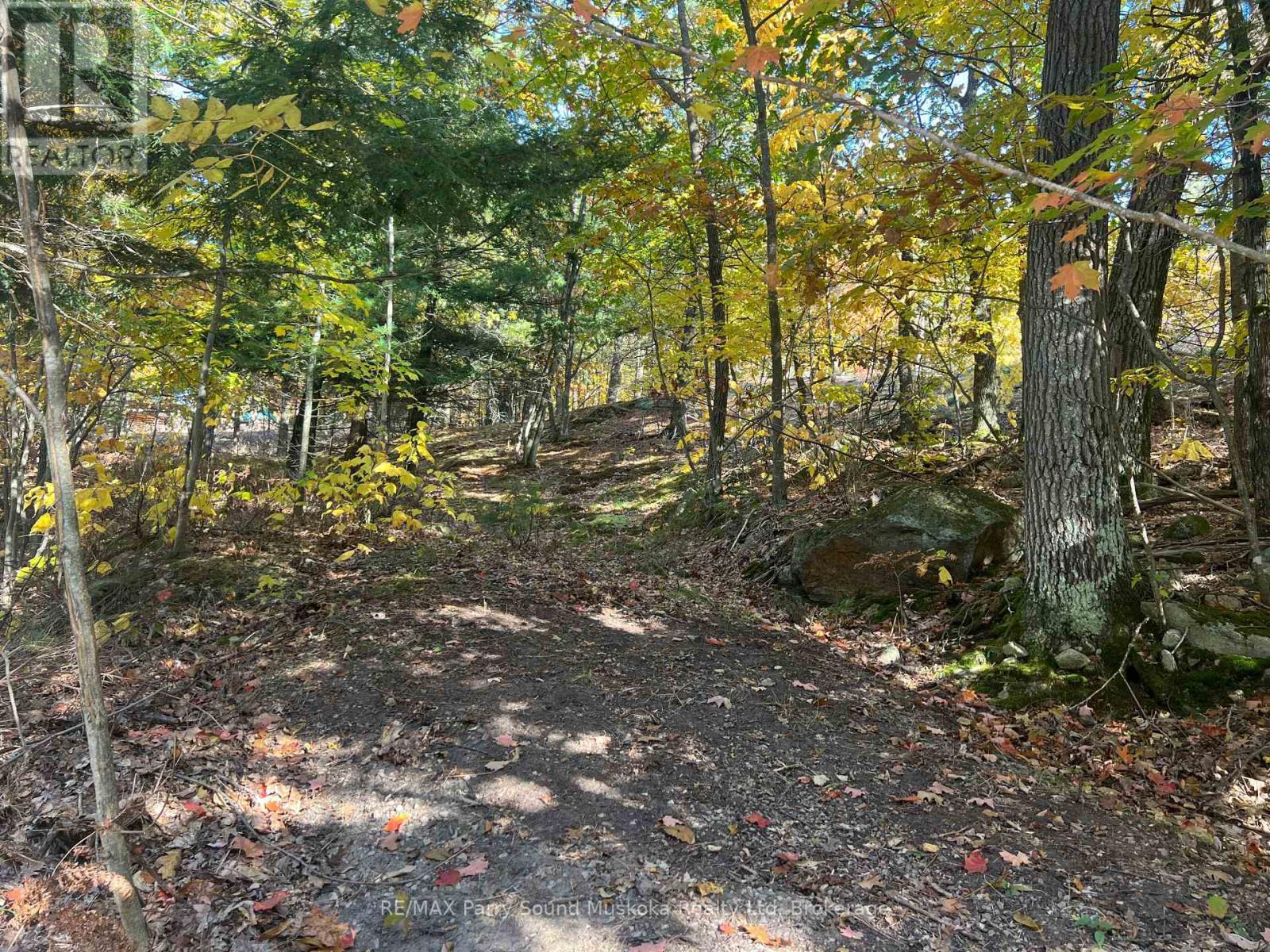 Rough in driveway area - 13 Ridgeway Drive, Carling, ON