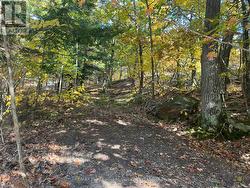 Rough in driveway area -