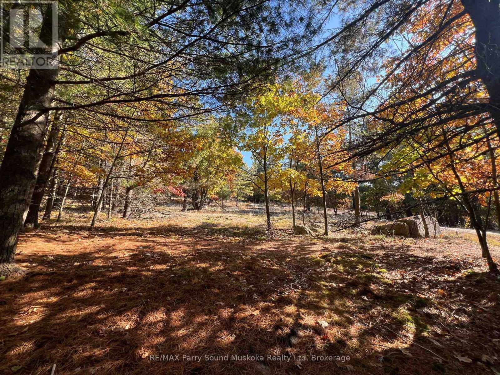 13 Ridgeway Drive, Carling, ON