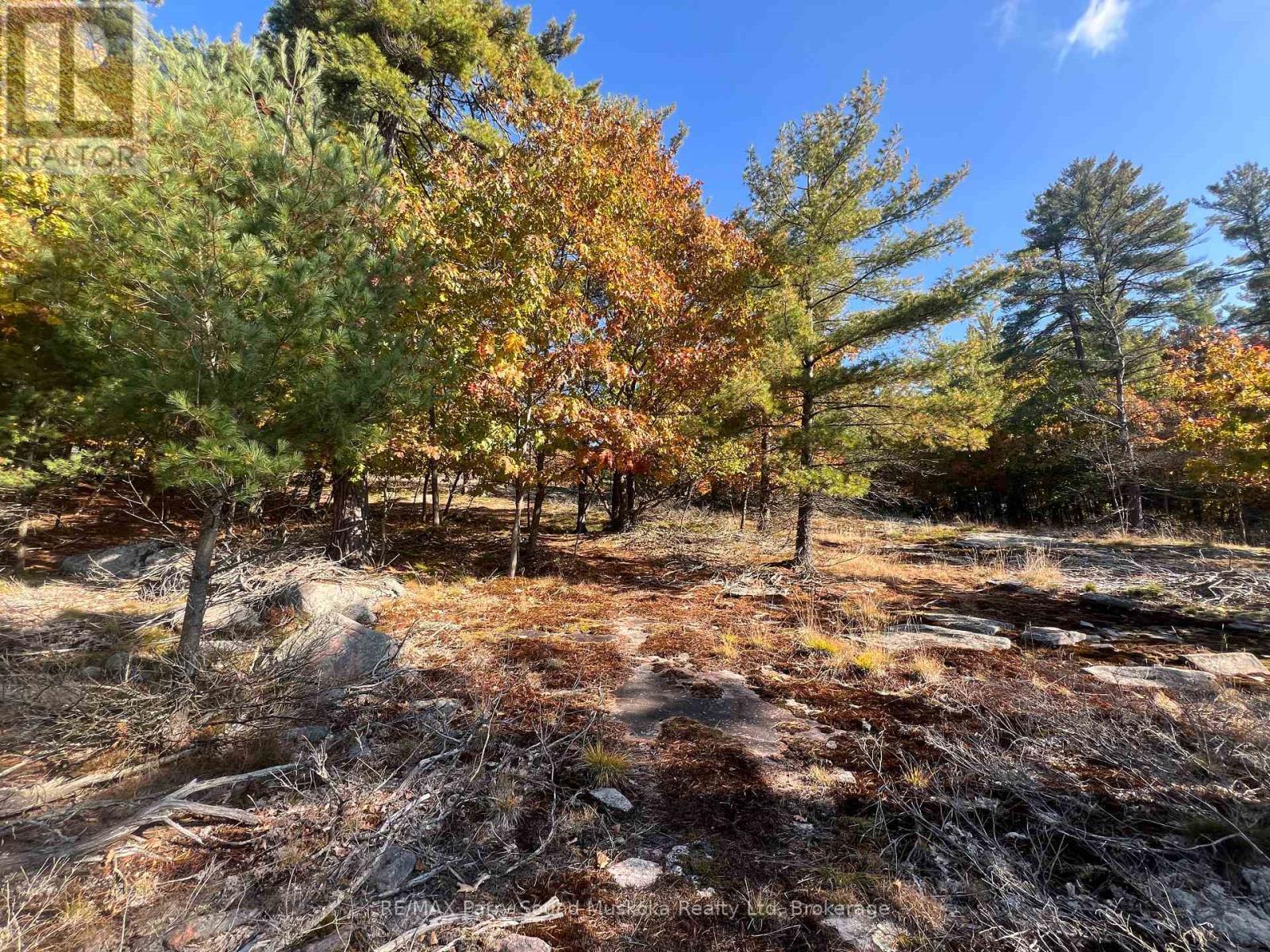 13 Ridgeway Drive, Carling, ON