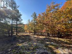 Land to call your own! -