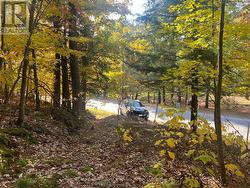 Year round road access -