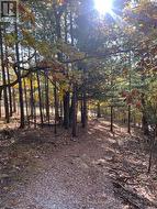 Invest in the North! -