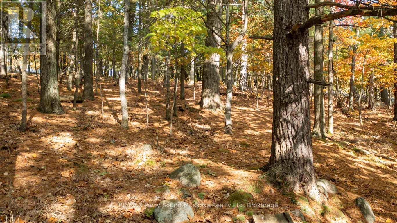 Relax, rejuvenate amongst the Pines! - 13 Ridgeway Drive, Carling, ON