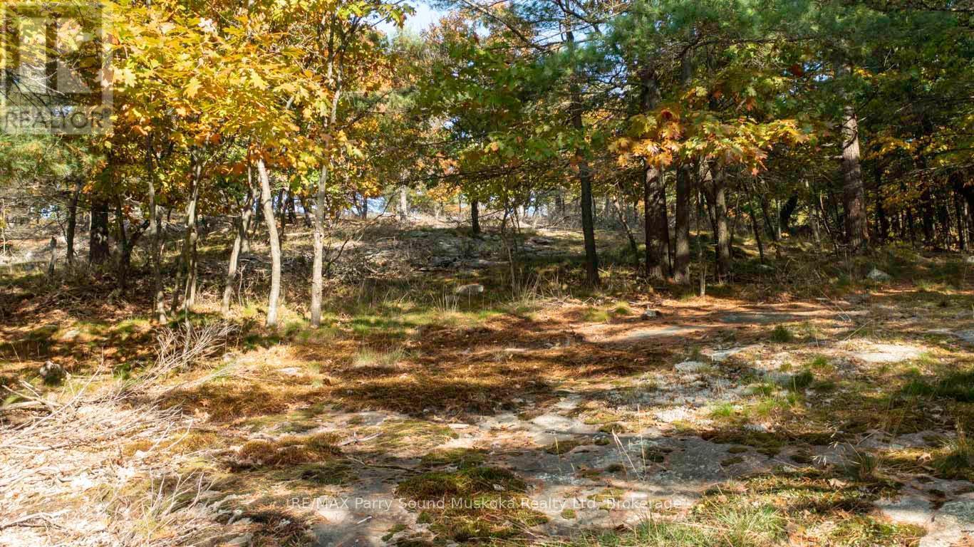 13 Ridgeway Drive, Carling, ON