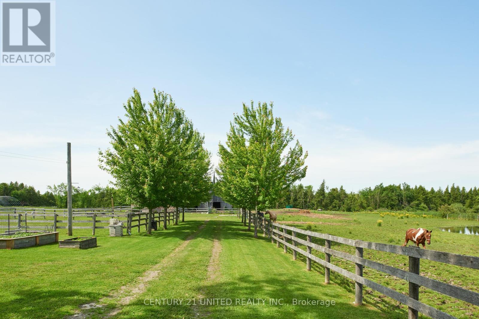 1662 11Th Line, Selwyn, ON - Outdoor With View