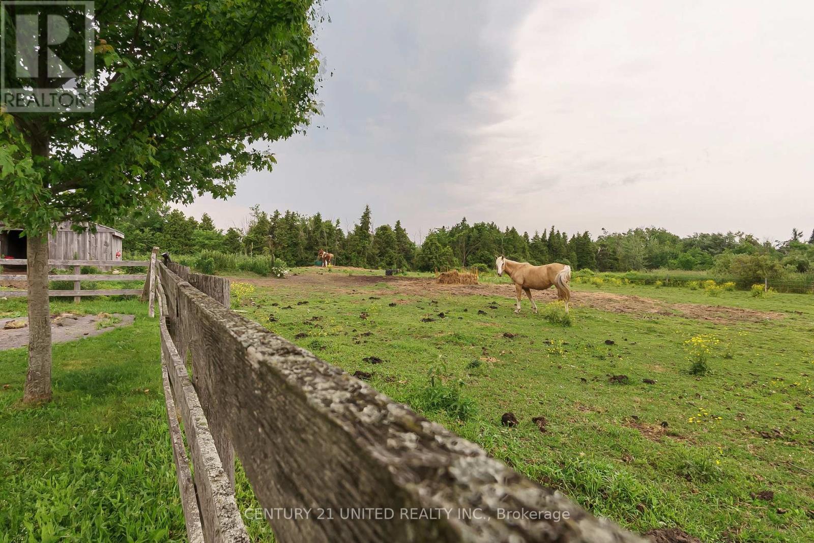 1662 11Th Line, Selwyn, ON - Outdoor With View