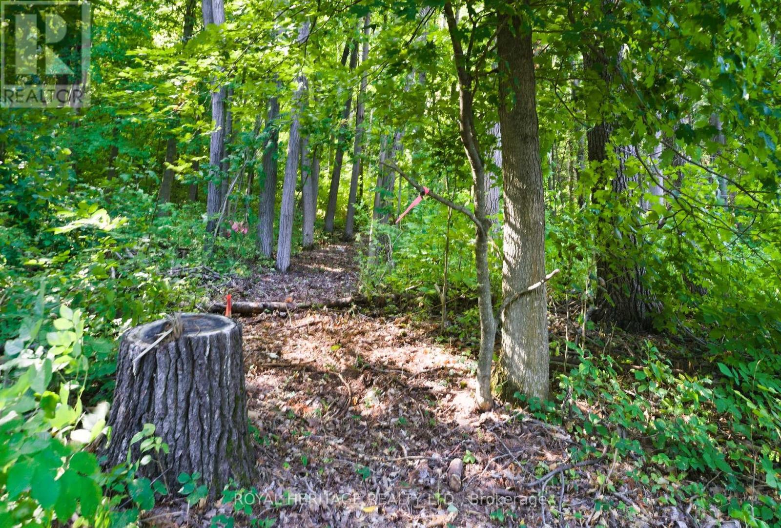 0 Pinewood School Road, Cramahe, ON