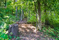 0 PINEWOOD SCHOOL ROAD Cramahe, ON K0K 1M0