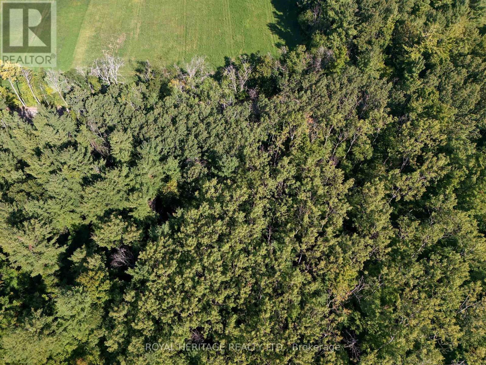 0 Pinewood School Road, Cramahe, ON