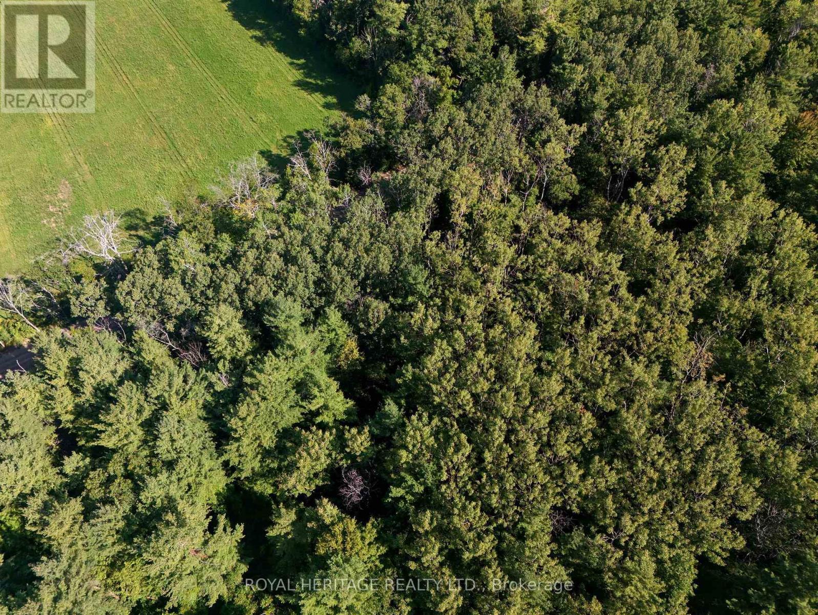 0 Pinewood School Road, Cramahe, ON