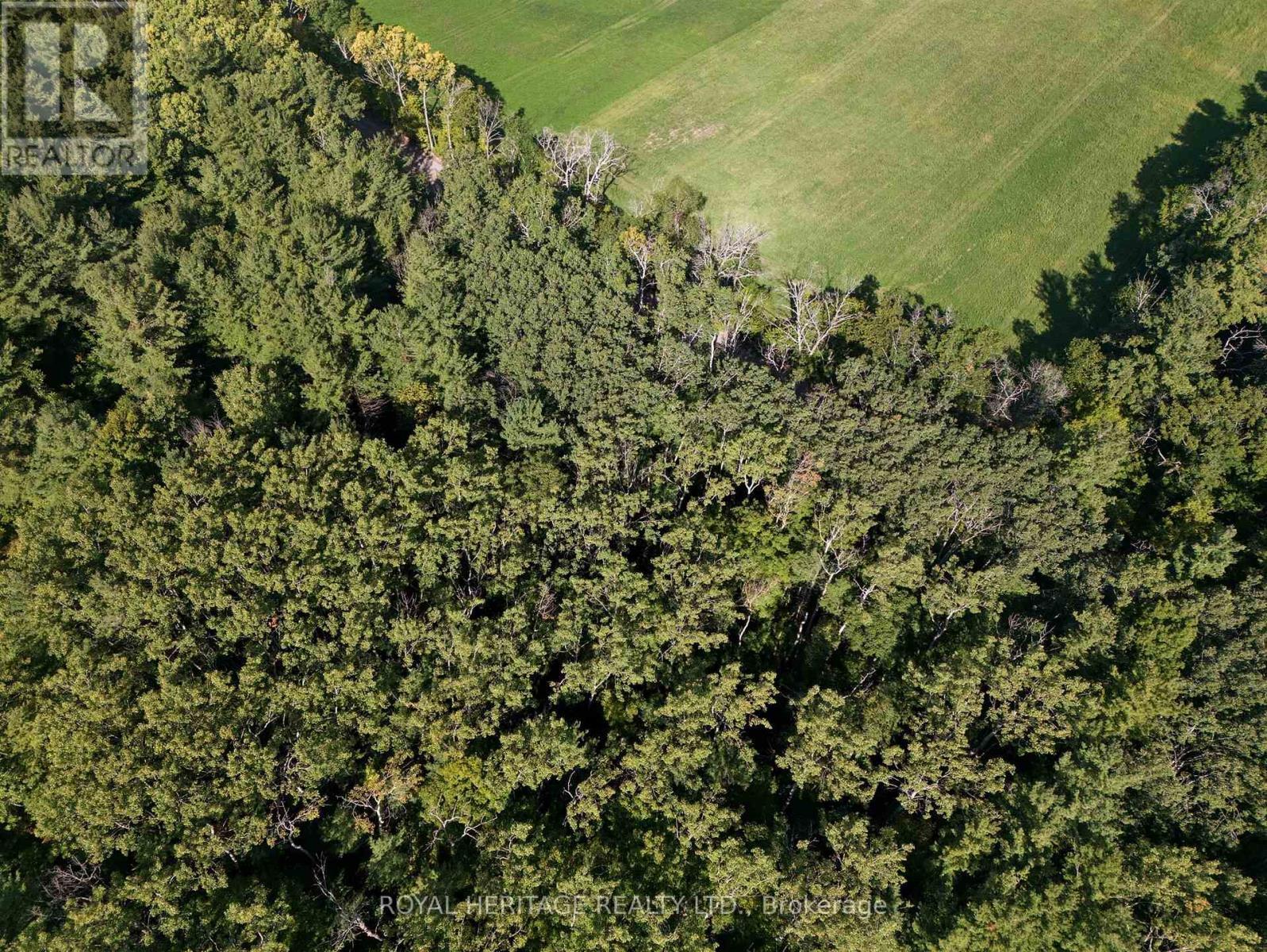 0 Pinewood School Road, Cramahe, ON