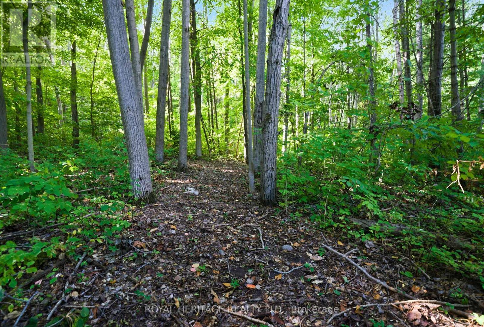 0 Pinewood School Road, Cramahe, ON