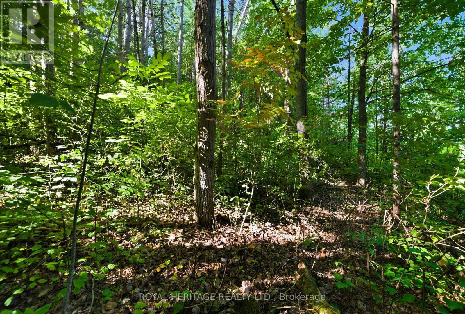 0 Pinewood School Road, Cramahe, ON