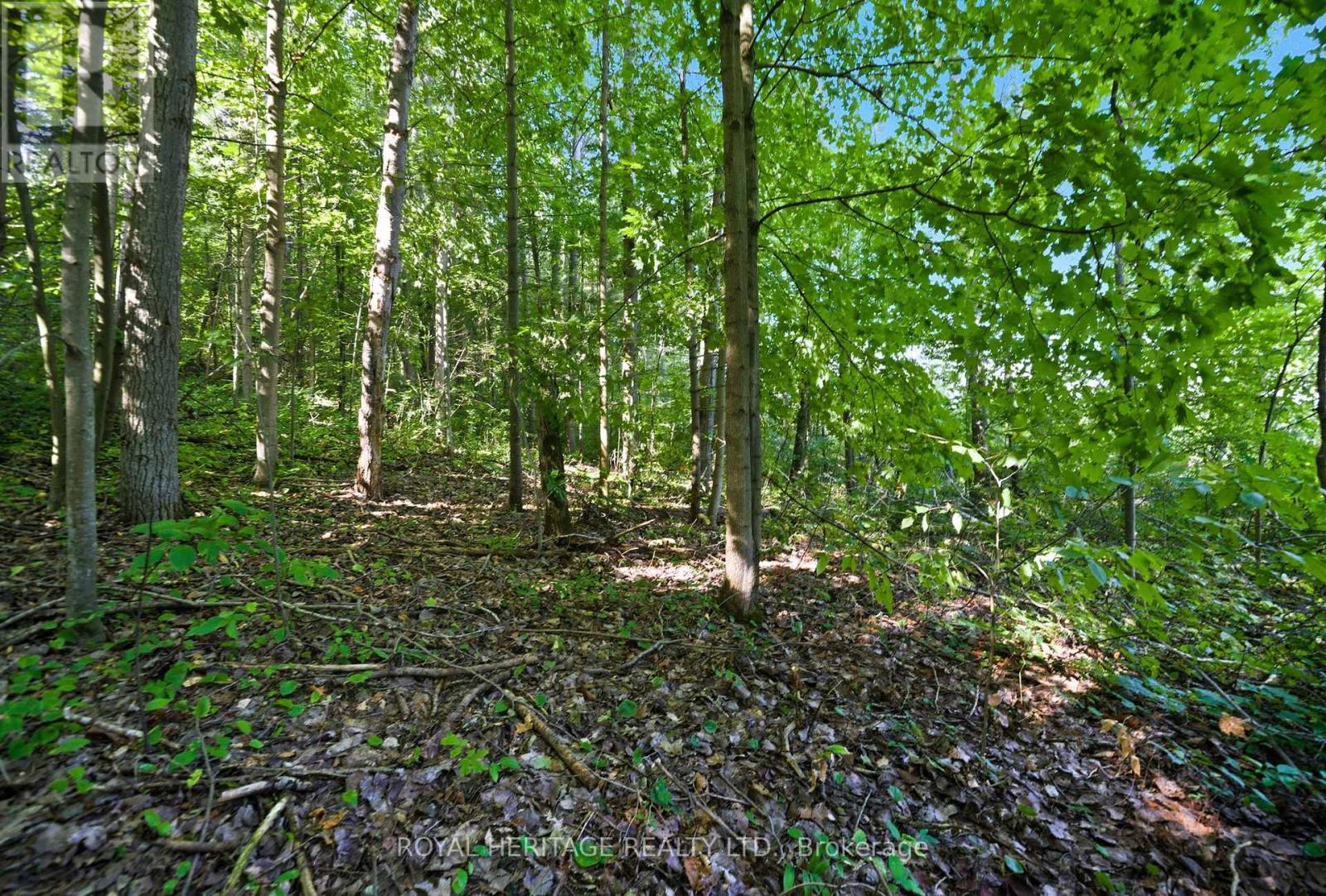 0 Pinewood School Road, Cramahe, ON