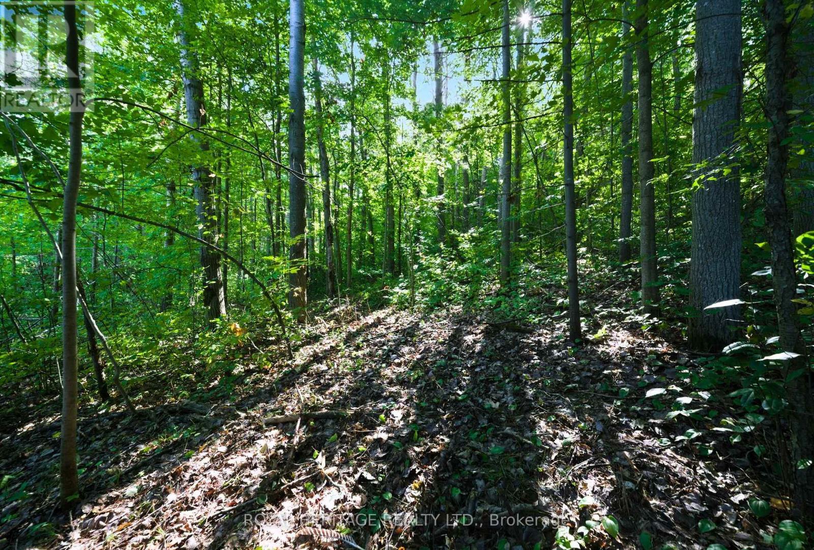 0 Pinewood School Road, Cramahe, ON