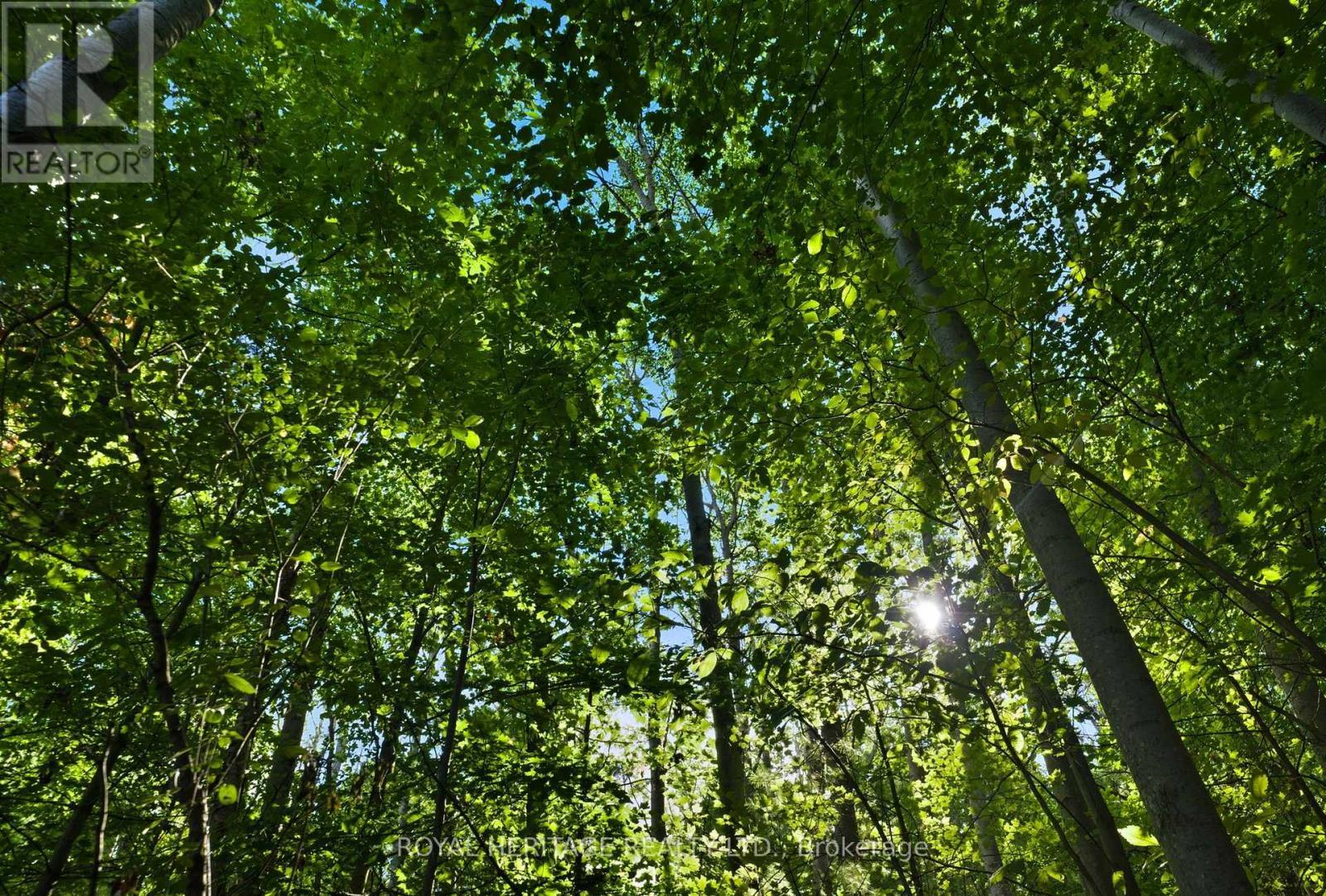 0 Pinewood School Road, Cramahe, ON