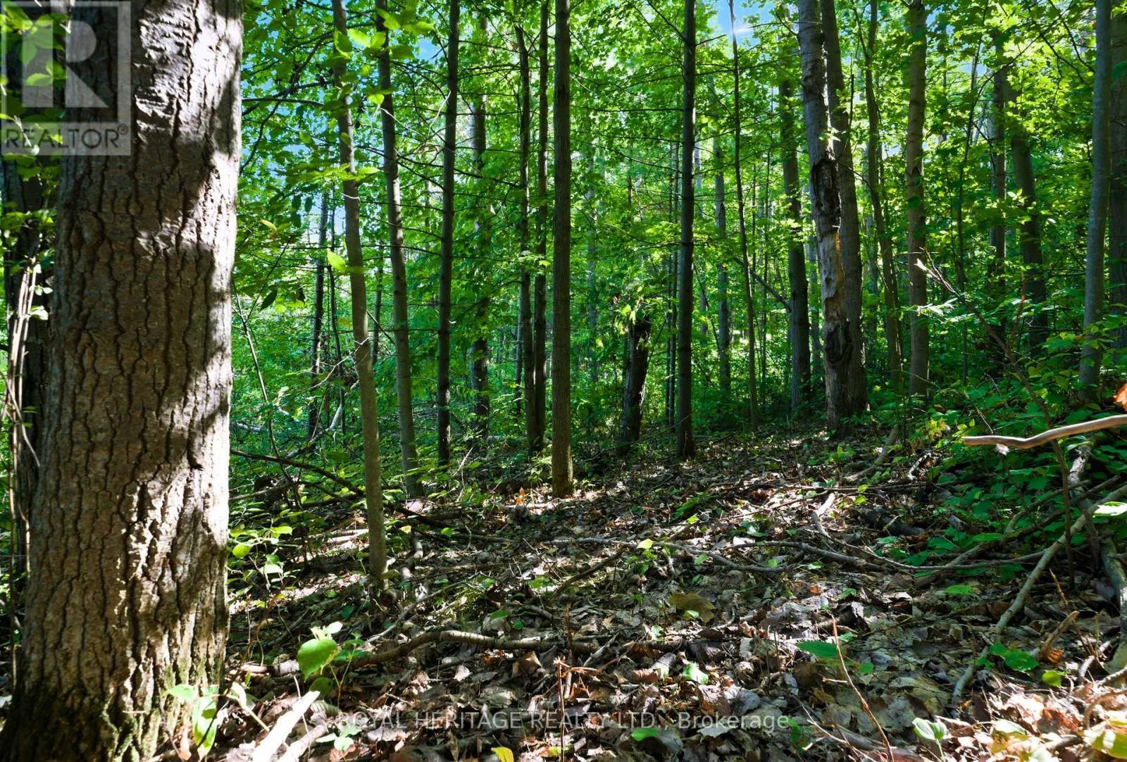 0 Pinewood School Road, Cramahe, ON