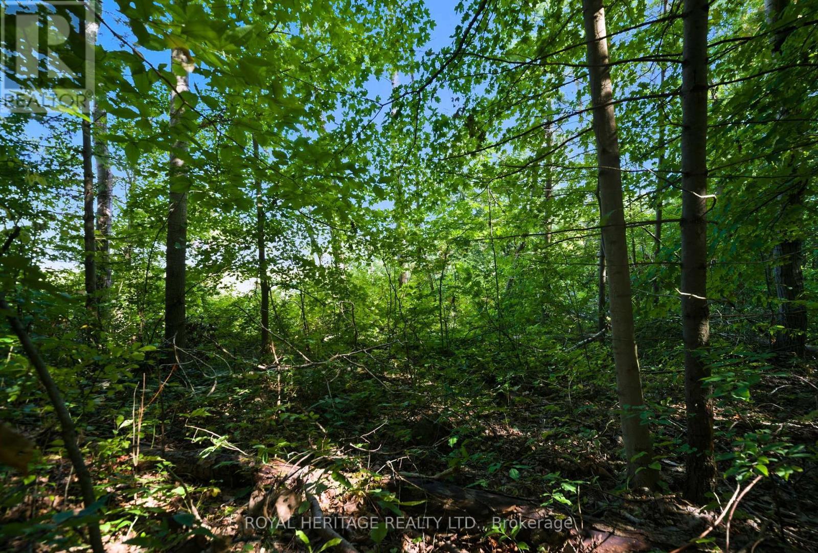 0 Pinewood School Road, Cramahe, ON