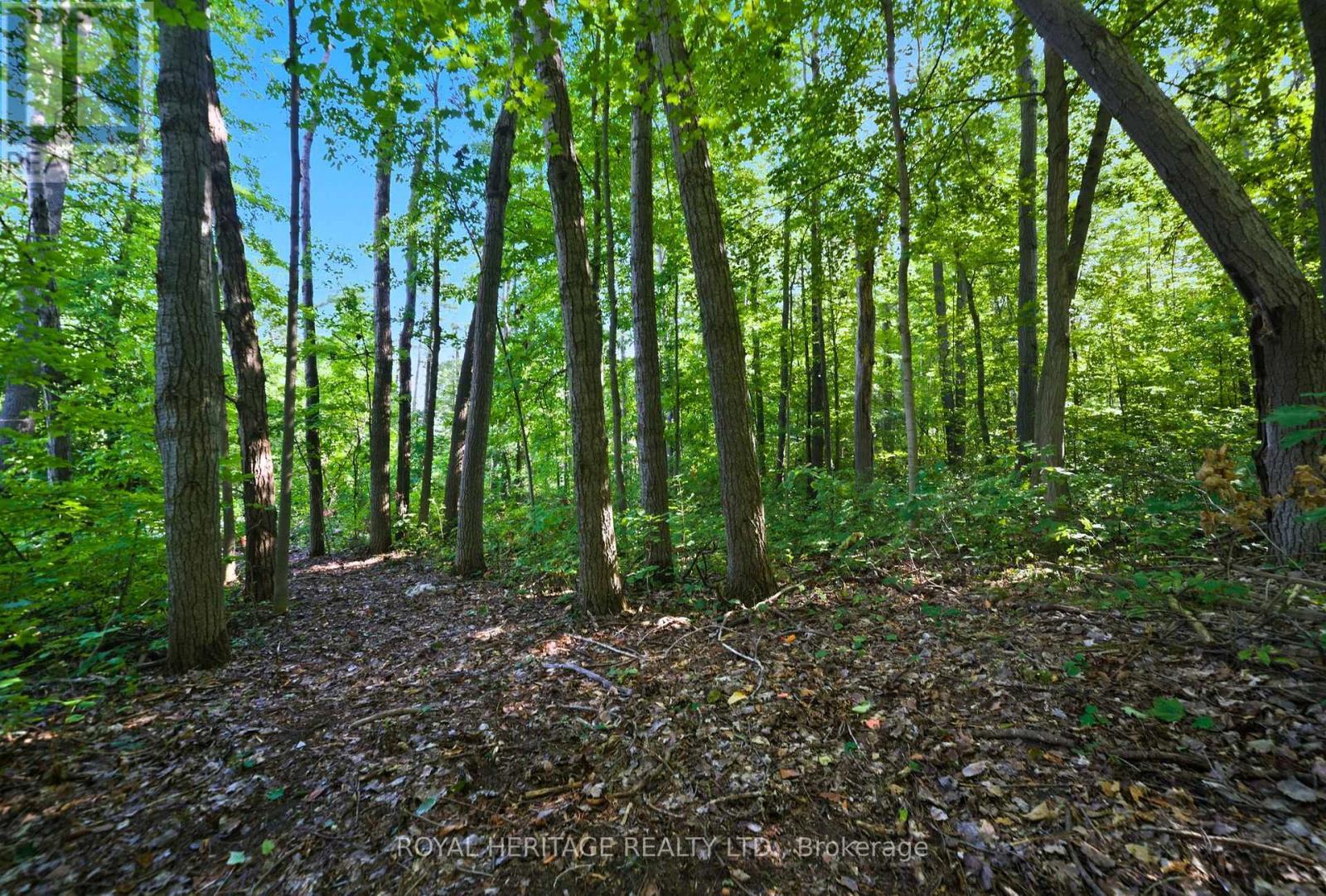 0 Pinewood School Road, Cramahe, ON