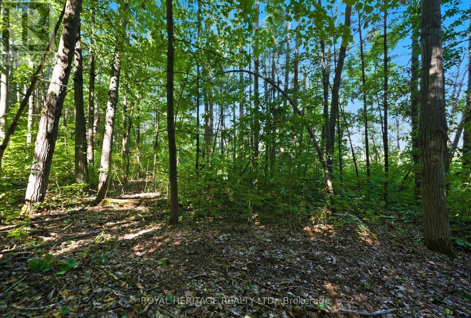 0 Pinewood School Road, Cramahe, ON