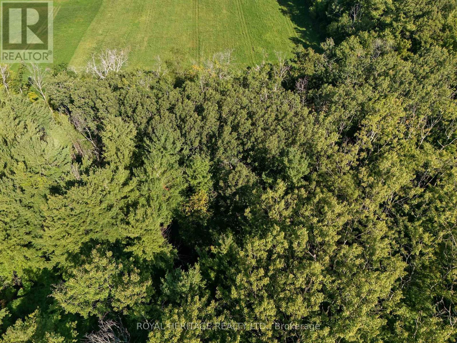 0 Pinewood School Road, Cramahe, ON