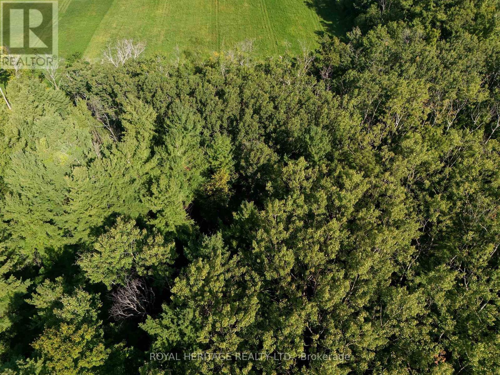 0 Pinewood School Road, Cramahe, ON