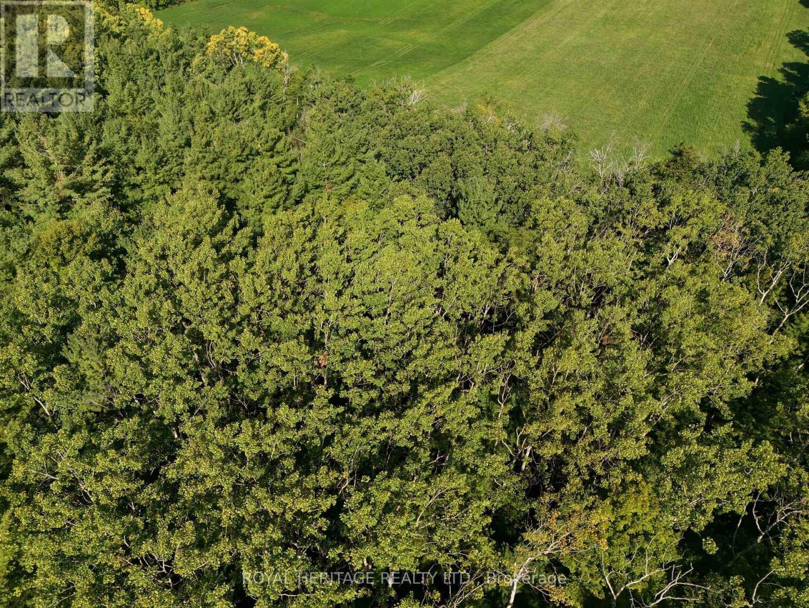 0 Pinewood School Road, Cramahe, ON