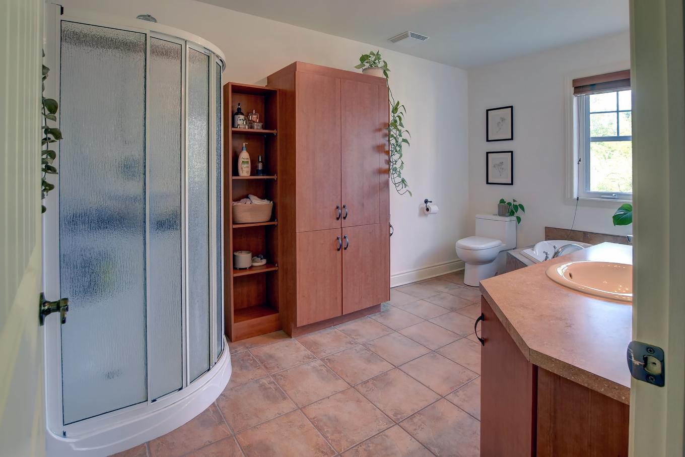 Bathroom - 270 Ch. De La Pinède, Piedmont, QC - Indoor Photo Showing Bathroom