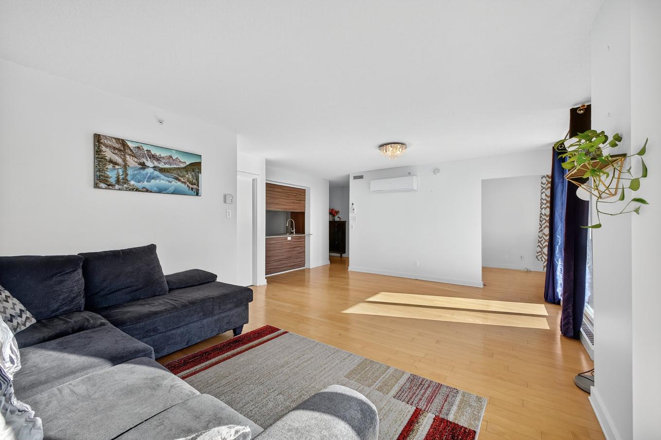 Salon - 1455-10650 Place De L'Acadie, Montréal (Ahuntsic-Cartierville), QC - Indoor Photo Showing Living Room